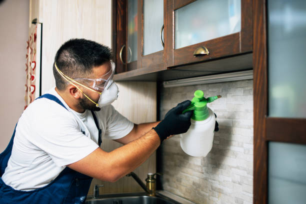 Pest Prevention Services in Langley, SC