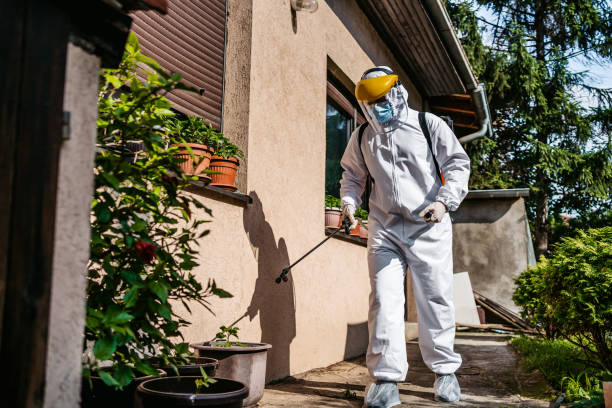 Best Insect Control  in Langley, SC